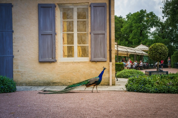 Découvrez les sites touristiques de la Dordogne et du Périgord noir